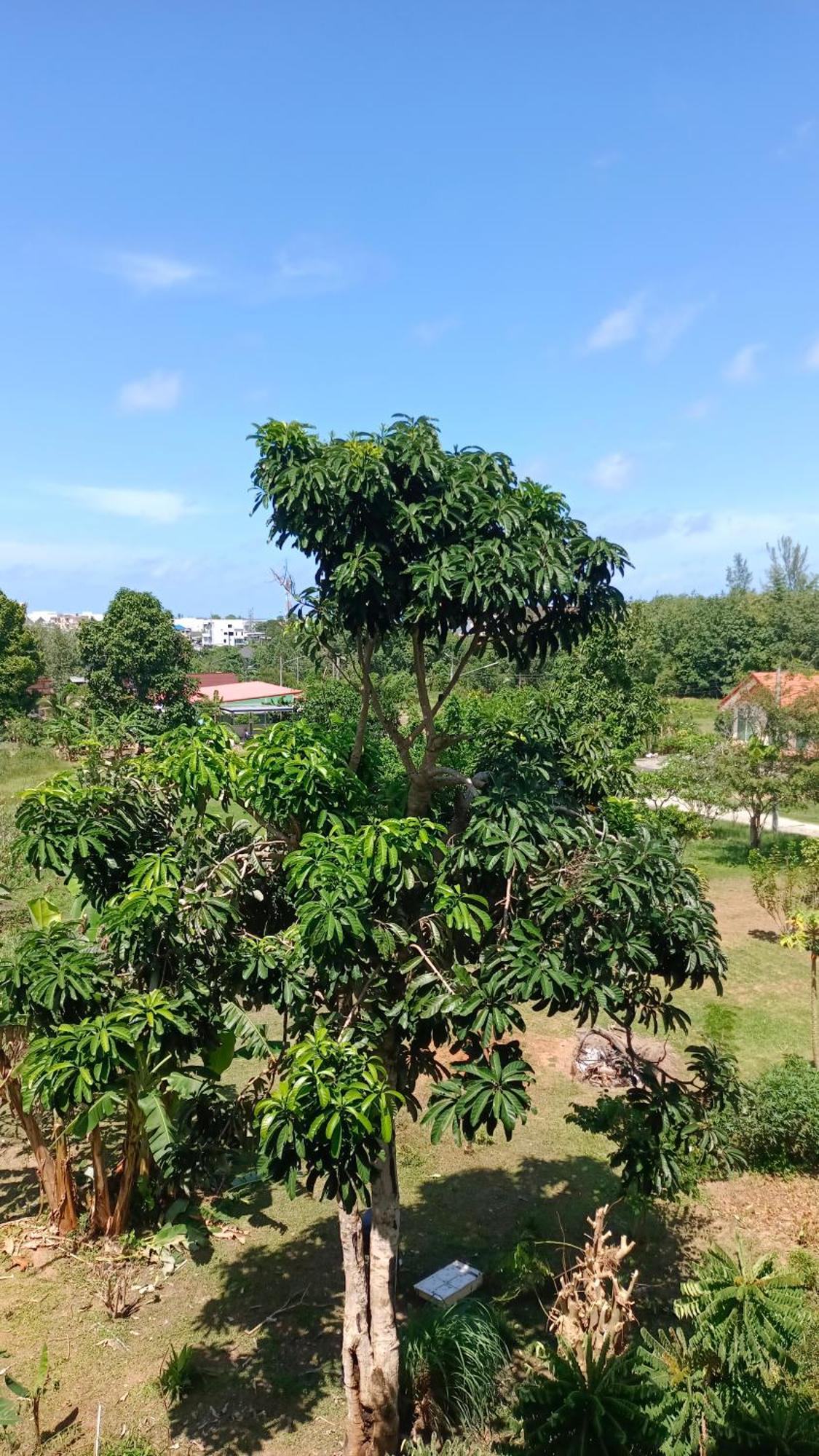 Ban Bo Sai Klang Batikseafood Airport & Room חדר תמונה